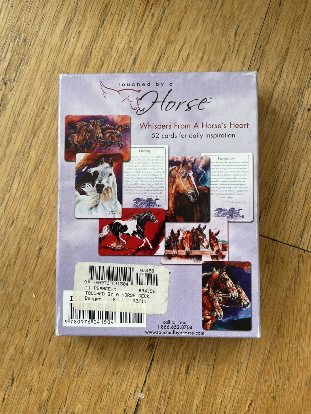 Touched By A Horse Oracle Deck - photo 3