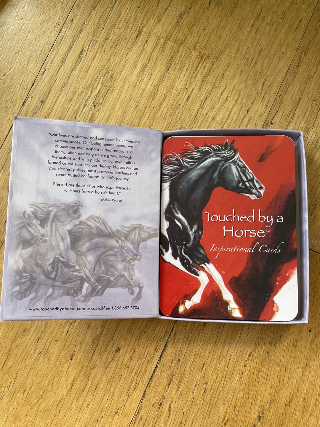 Touched By A Horse Oracle Deck