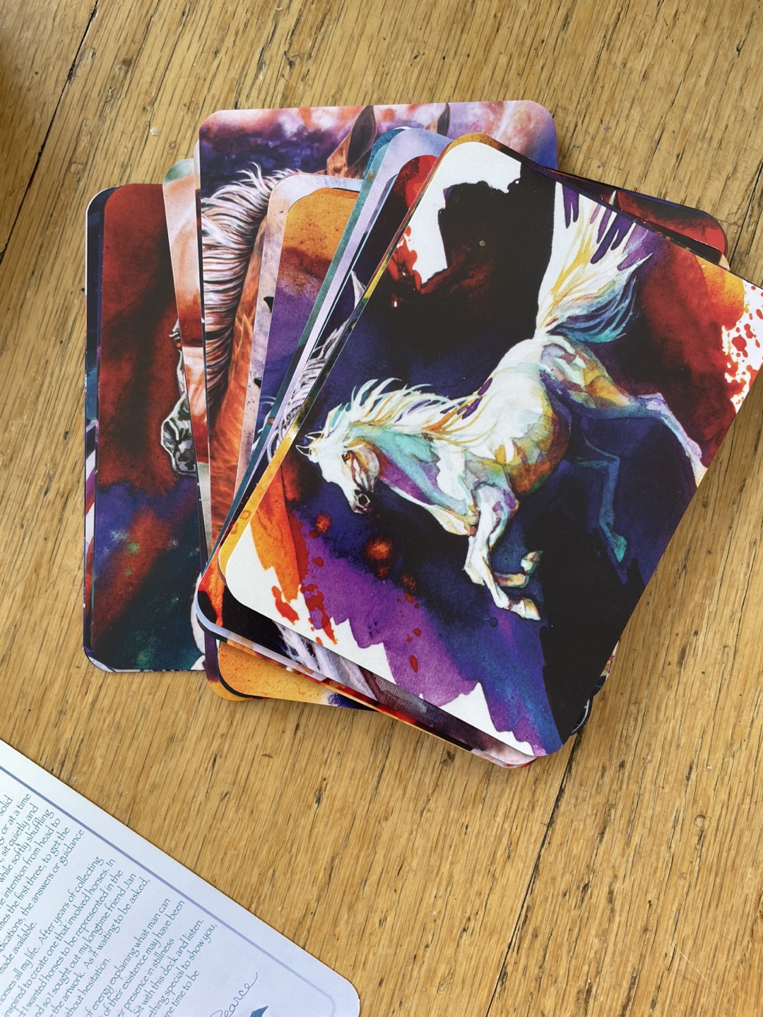 Touched By A Horse Oracle Deck - photo 4