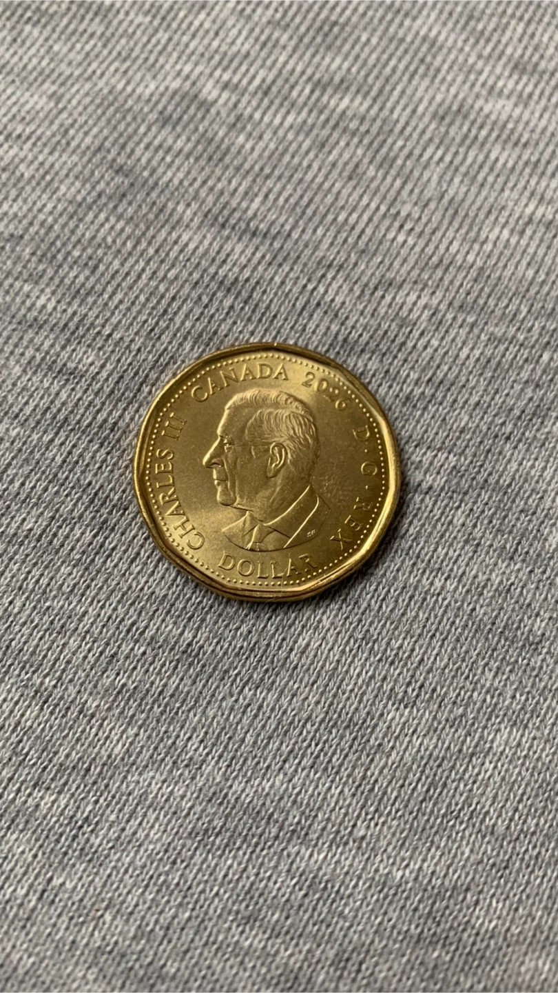 2026 FIFA World Cup Canada Loonie - photo 2