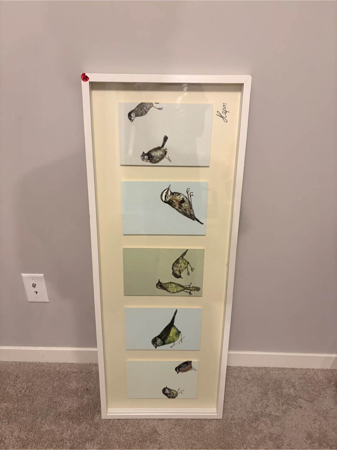 Large Framed Bird Artwork