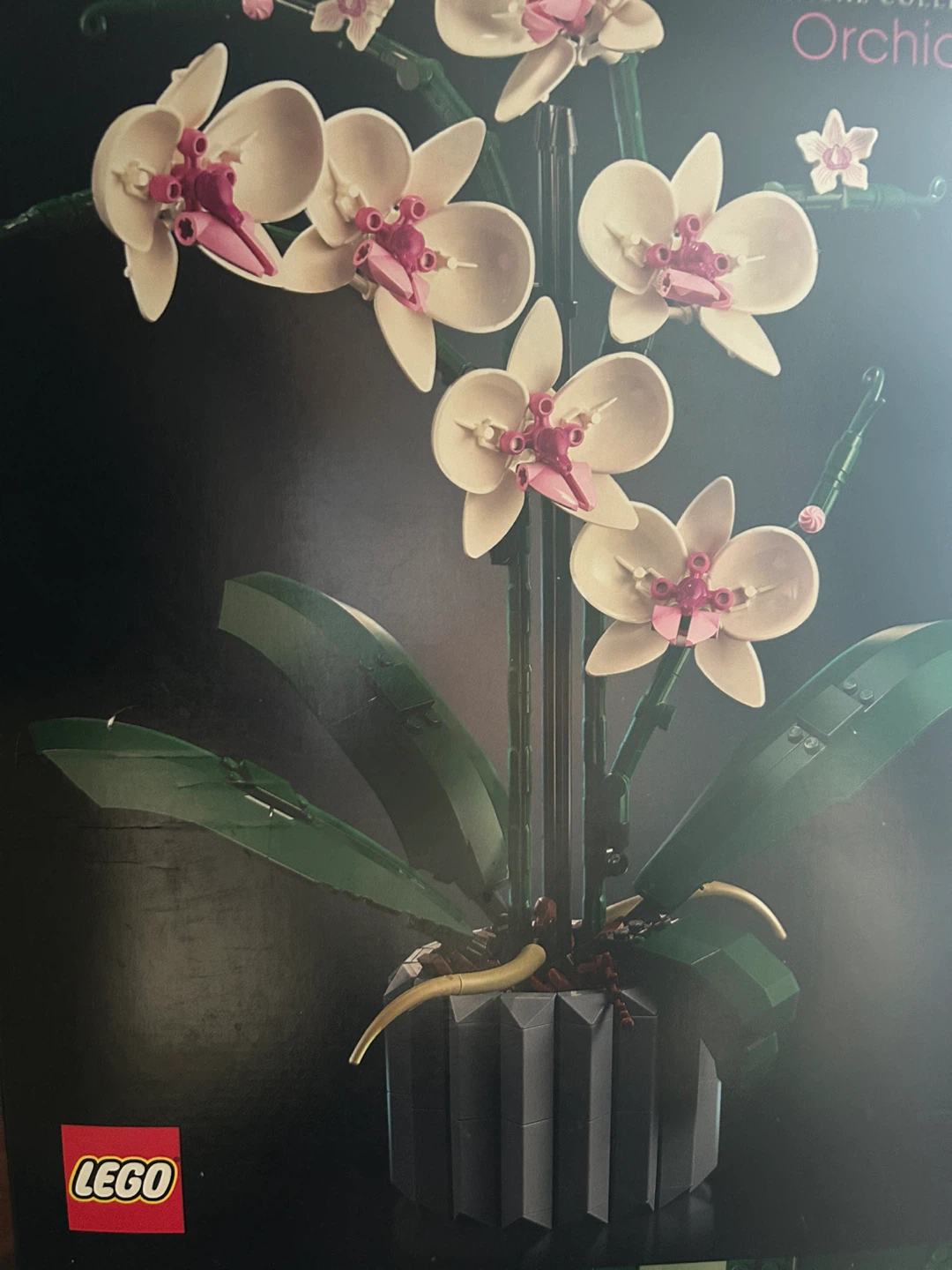 LEGO Botanical Orchid - photo 2