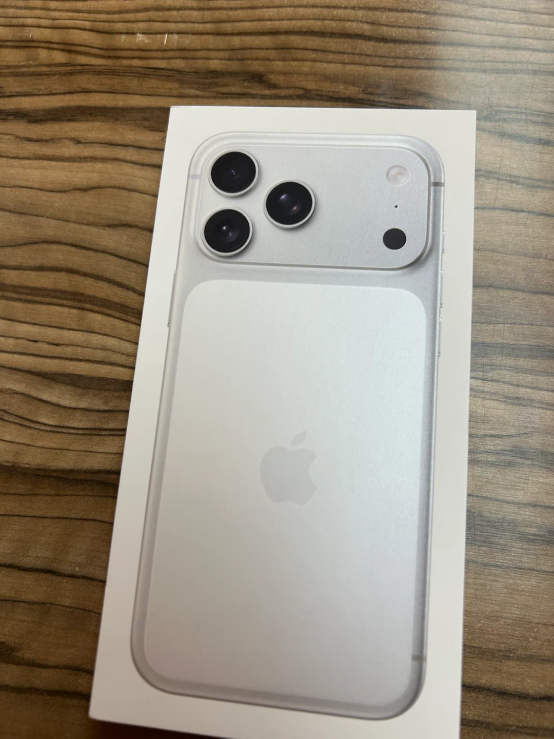Apple iPhone 17 Pro Max Silver 256GB