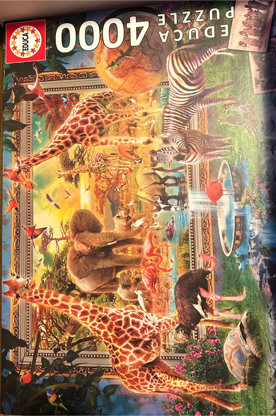Puzzles