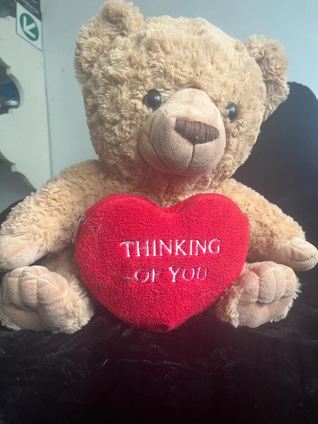 GRAB Bears Thinking of You Plush Bear
