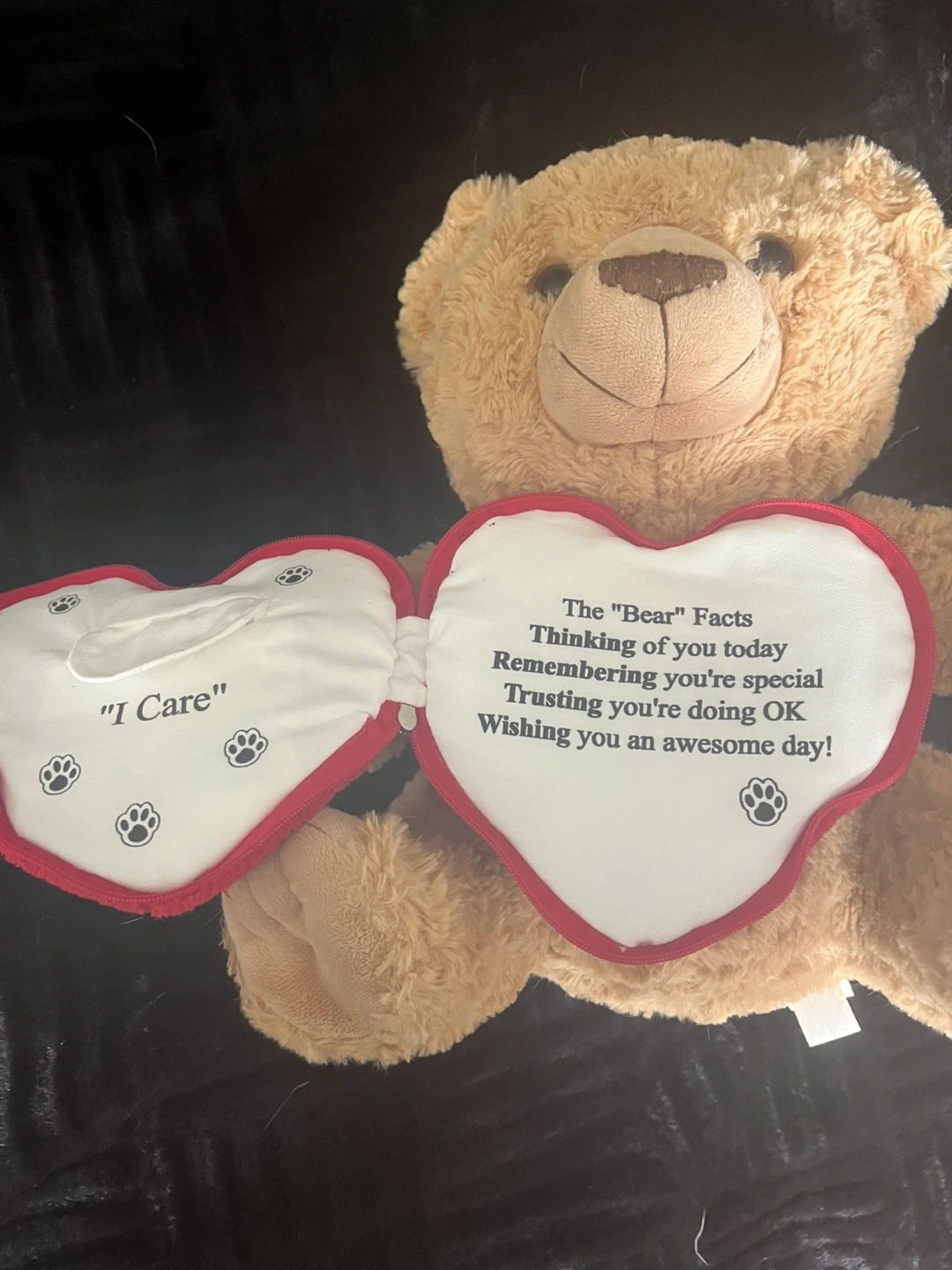 GRAB Bears Thinking of You Plush Bear - photo 2