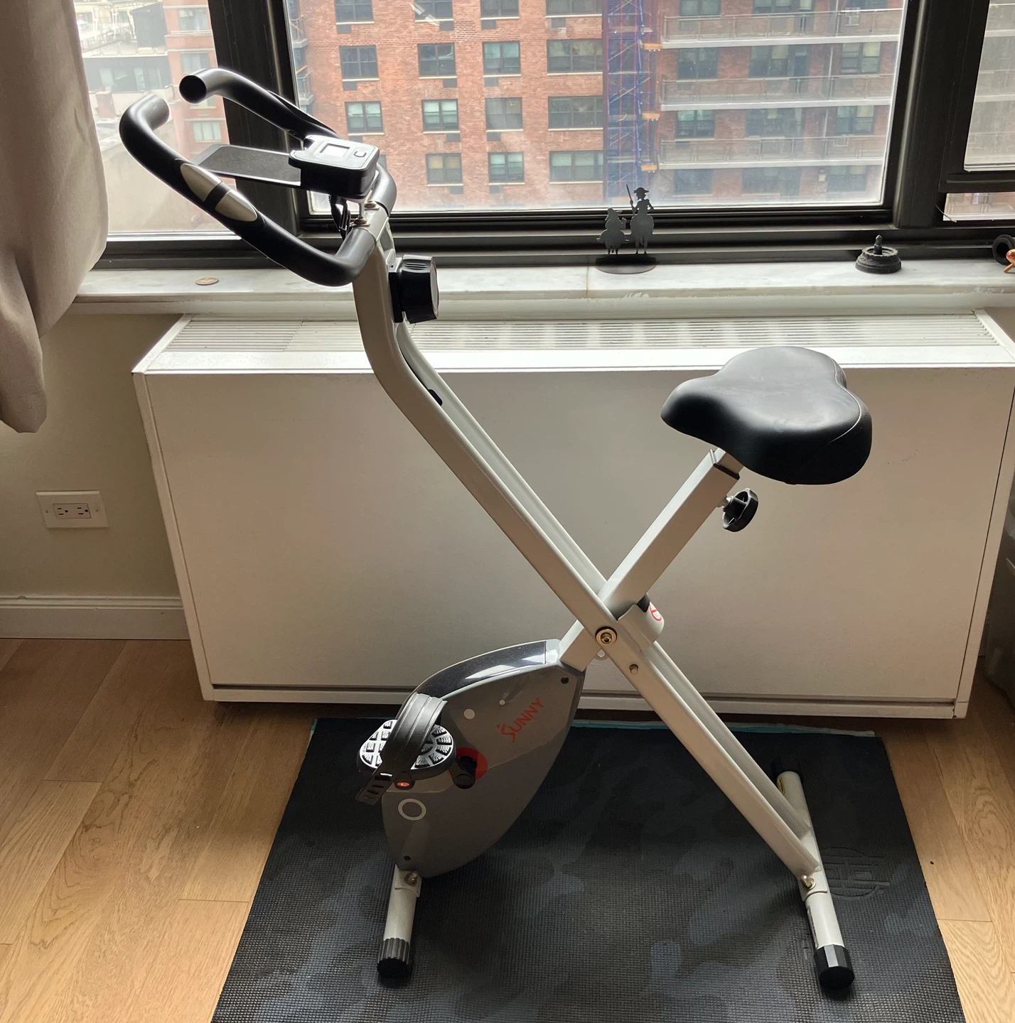 Sunny Foldable Exercise Bike