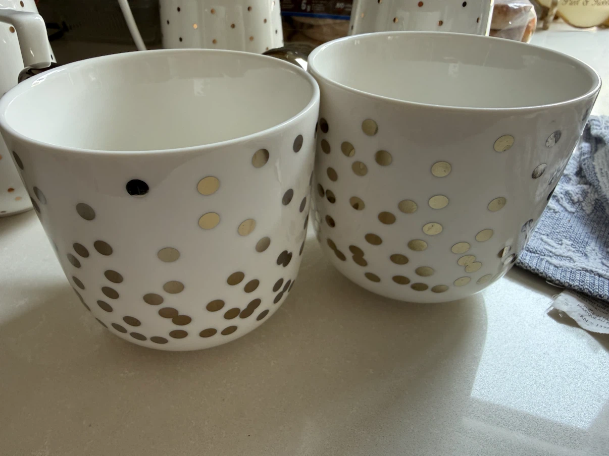 Coco + Lola Contempo Porcelain Mugs Set