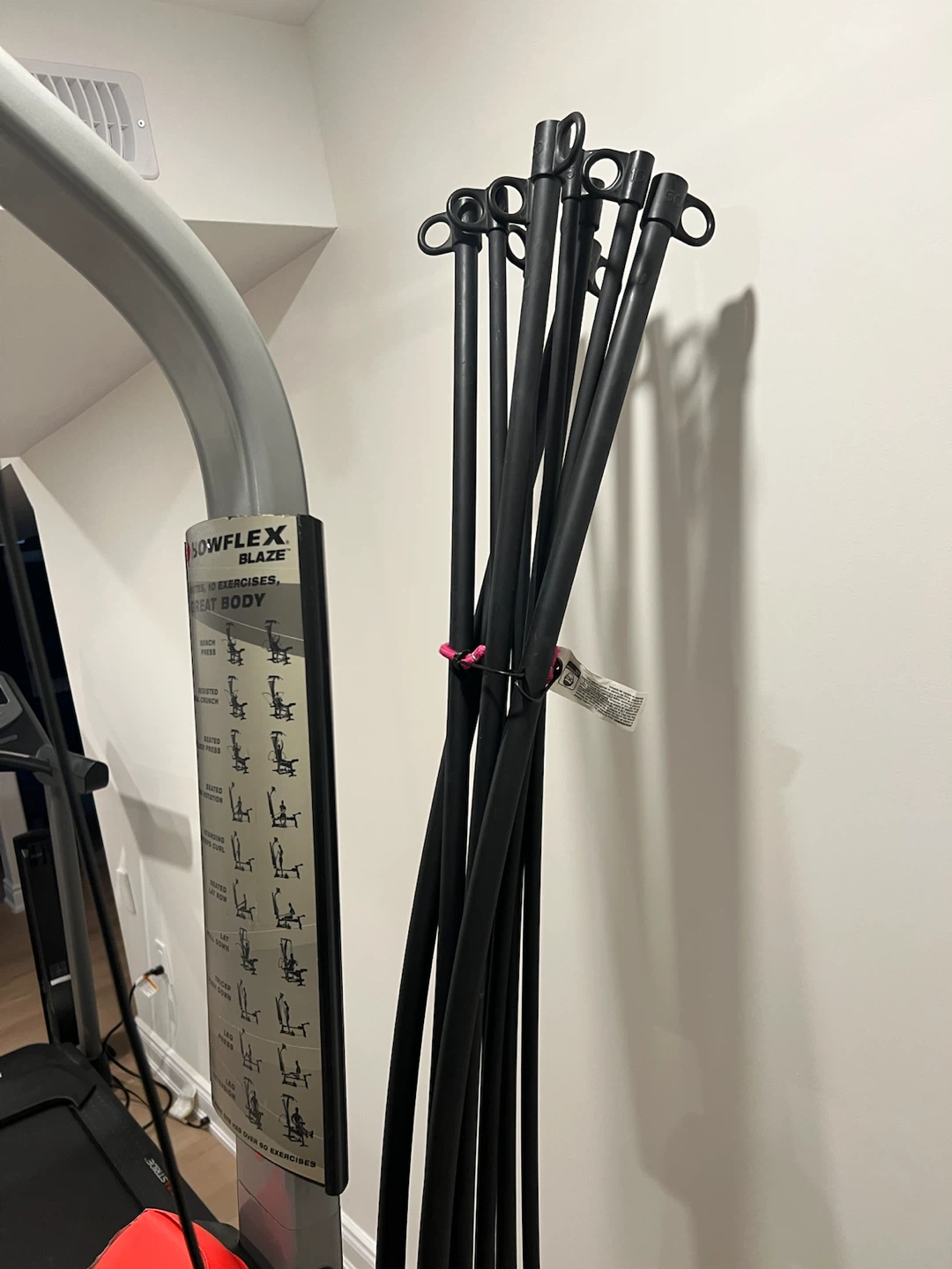 Bowflex Blaze Home Gym - photo 3