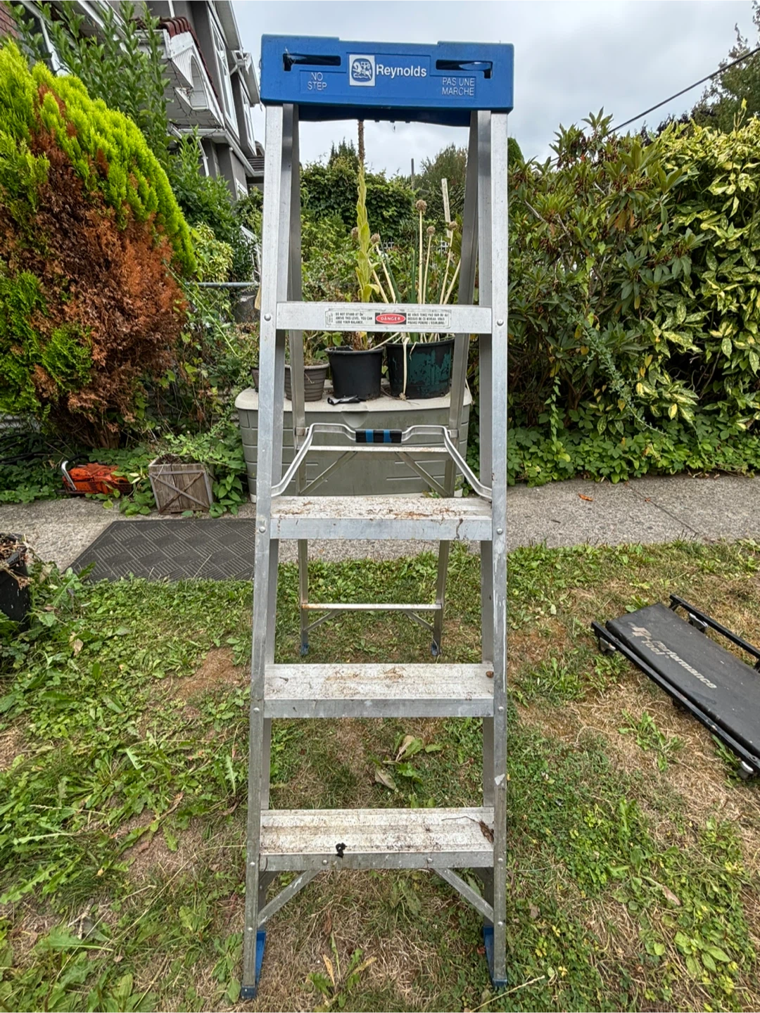 Reynolds 5 step ladder