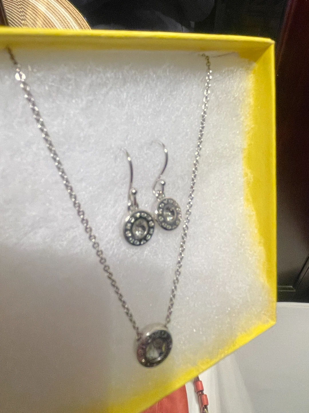 Coach Necklace and Earrings Set