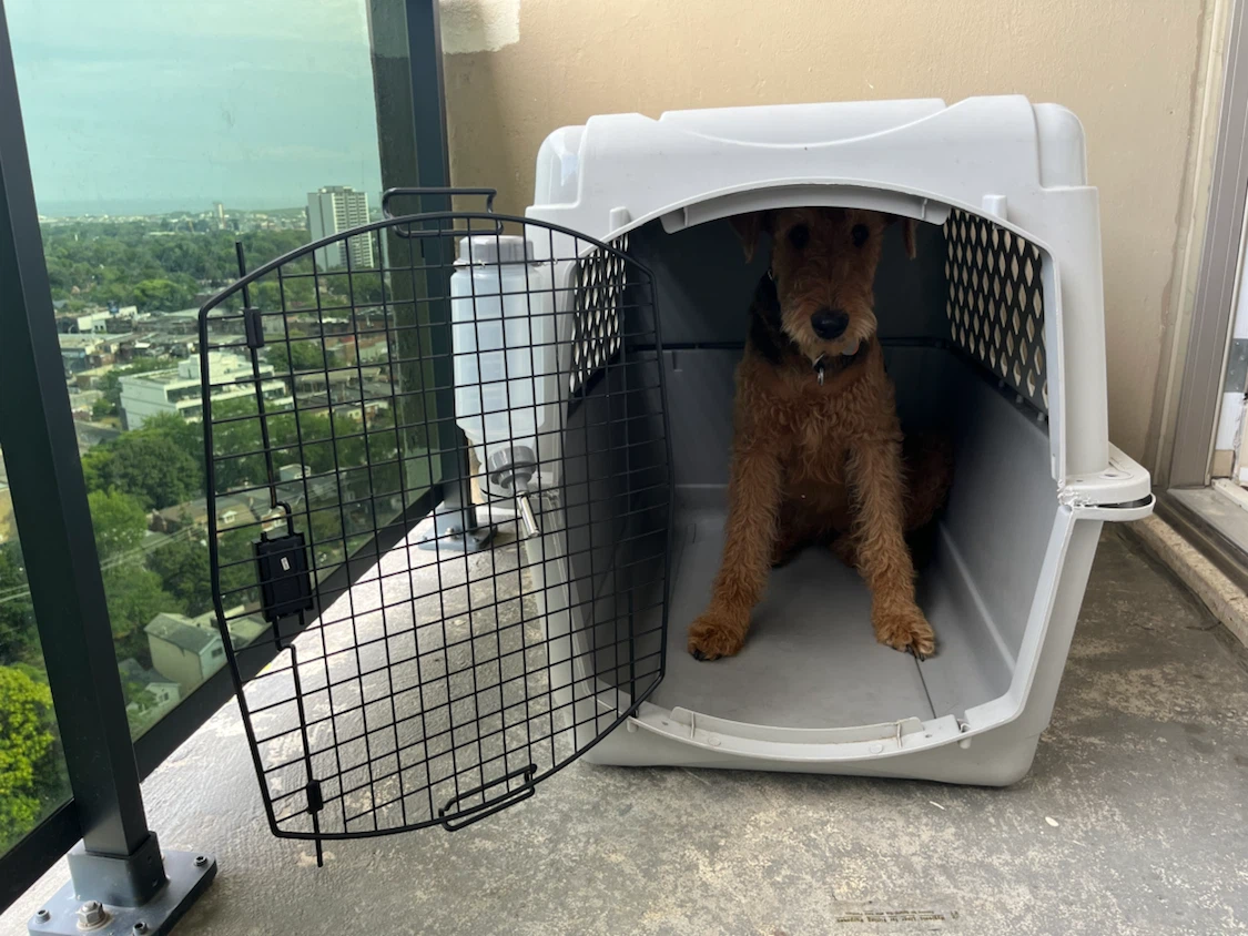 Pet Carrier with Water Bottle