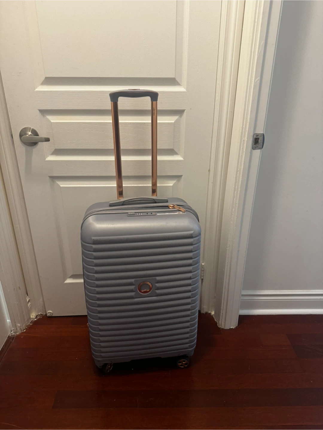 Delsey Paris Luggage