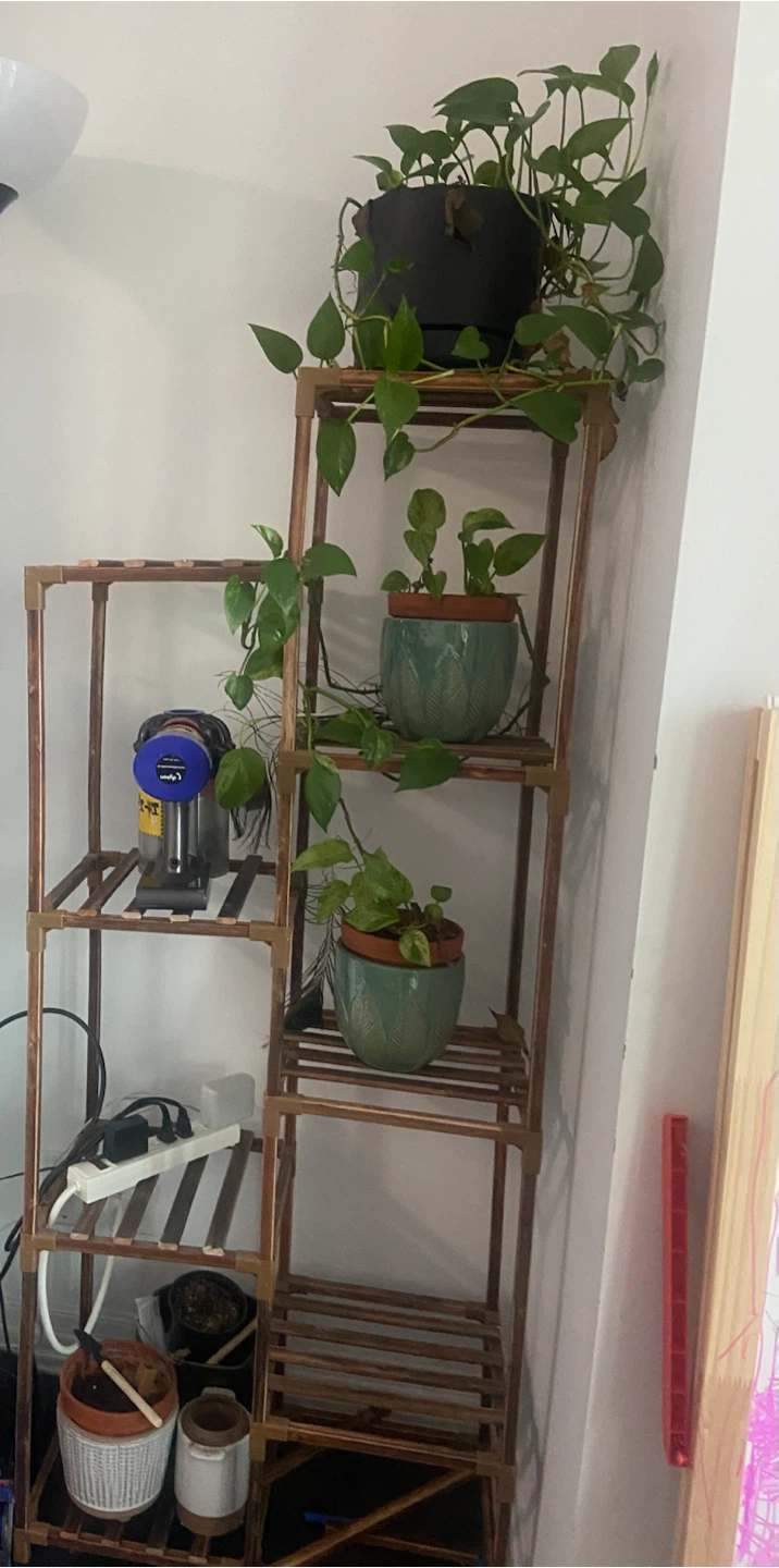 Wooden Plant Stand with 4 Tiers - photo 2