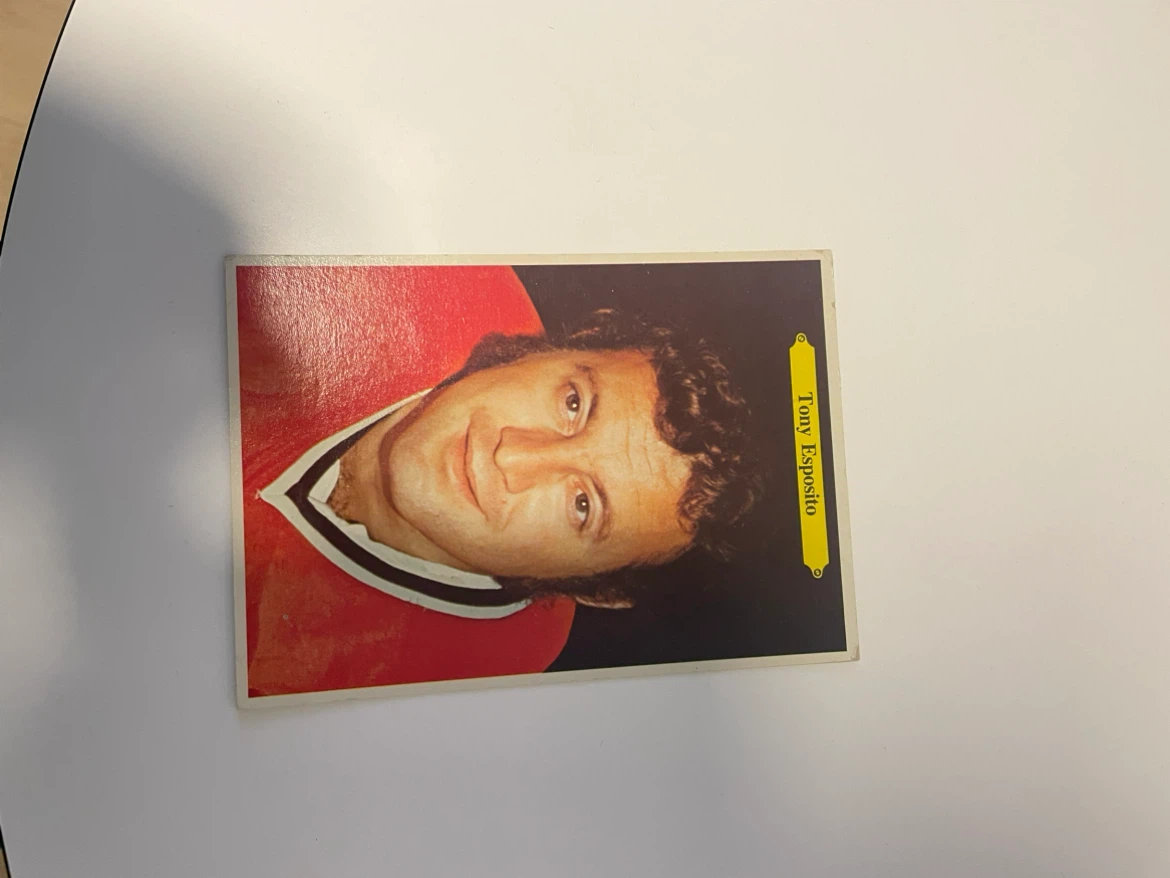 Tony Esposito Hockey Card