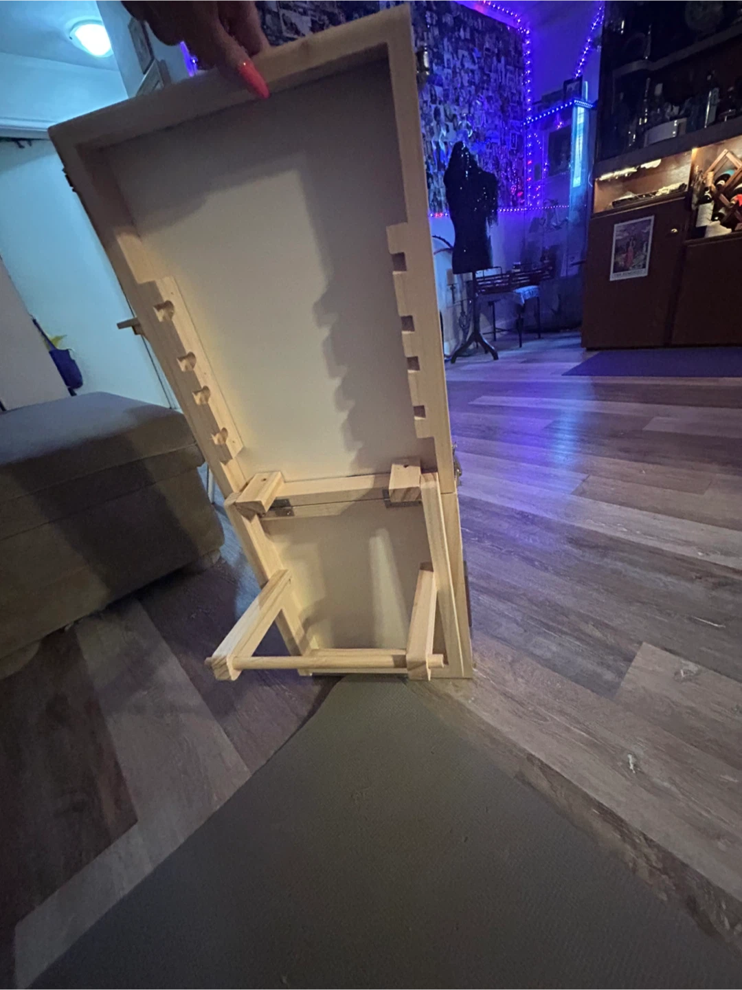 Dog/Cat Ramp brand new - photo 4