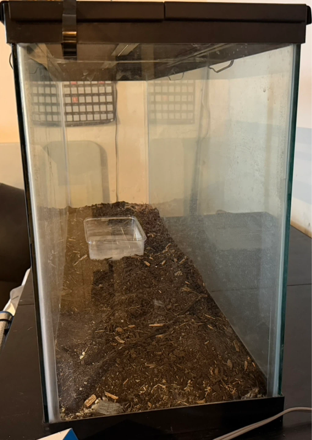Large Glass Terrarium Tank - photo 2