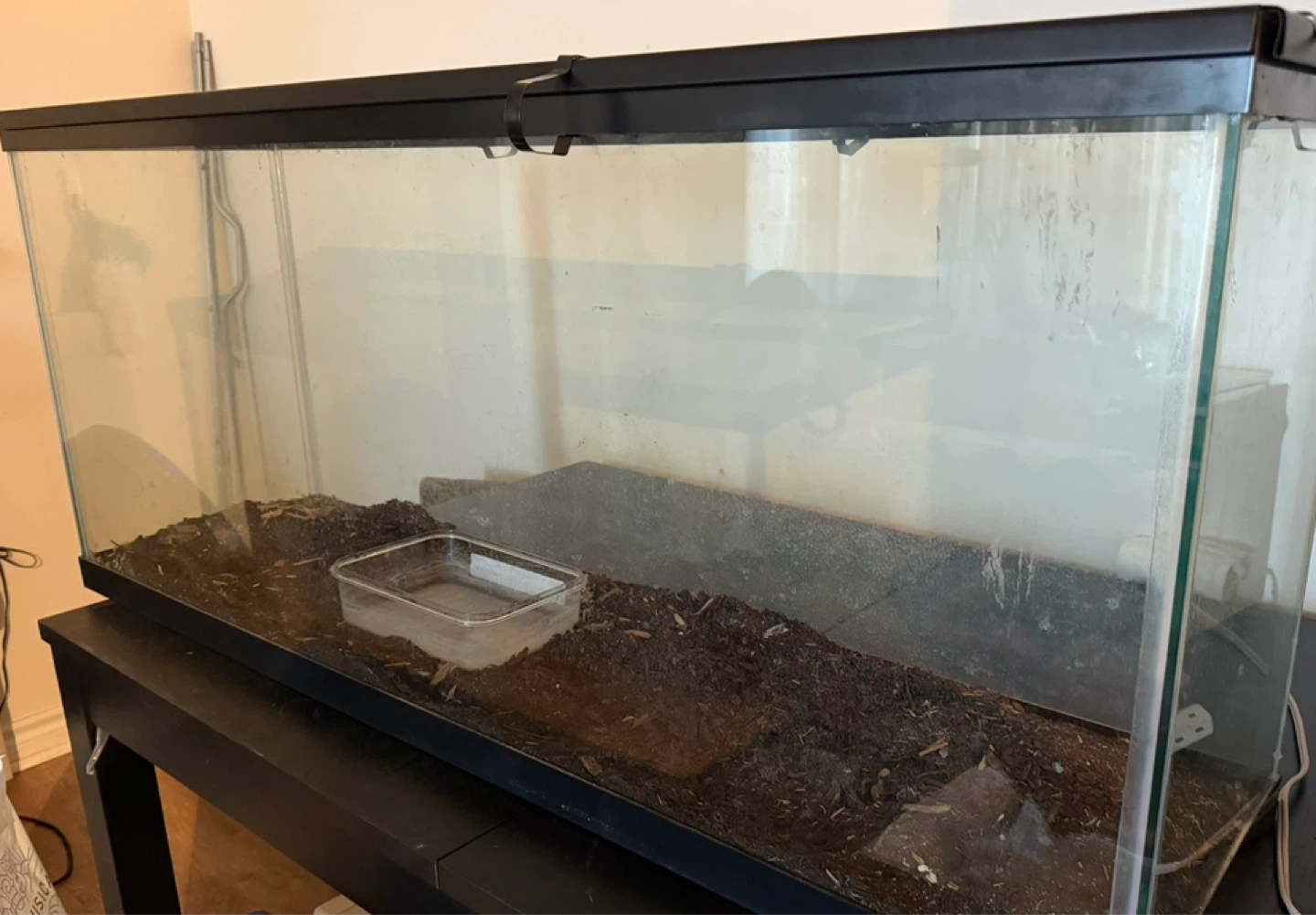 Large Glass Terrarium Tank - photo 3
