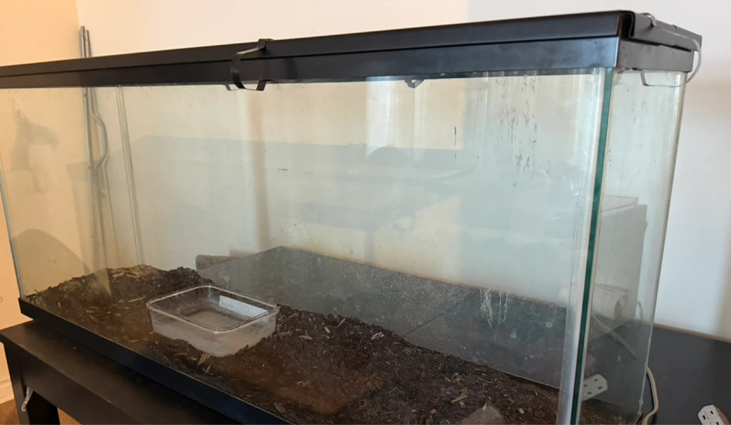 Large Glass Terrarium Tank - photo 4