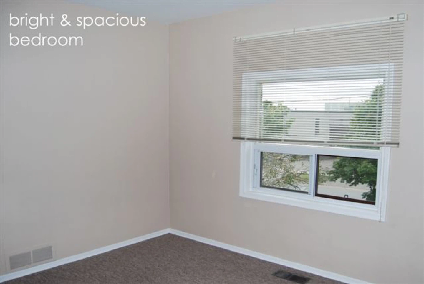 Spacious 1 bedrm apt. For SINGLE -Brownsline area - photo 3