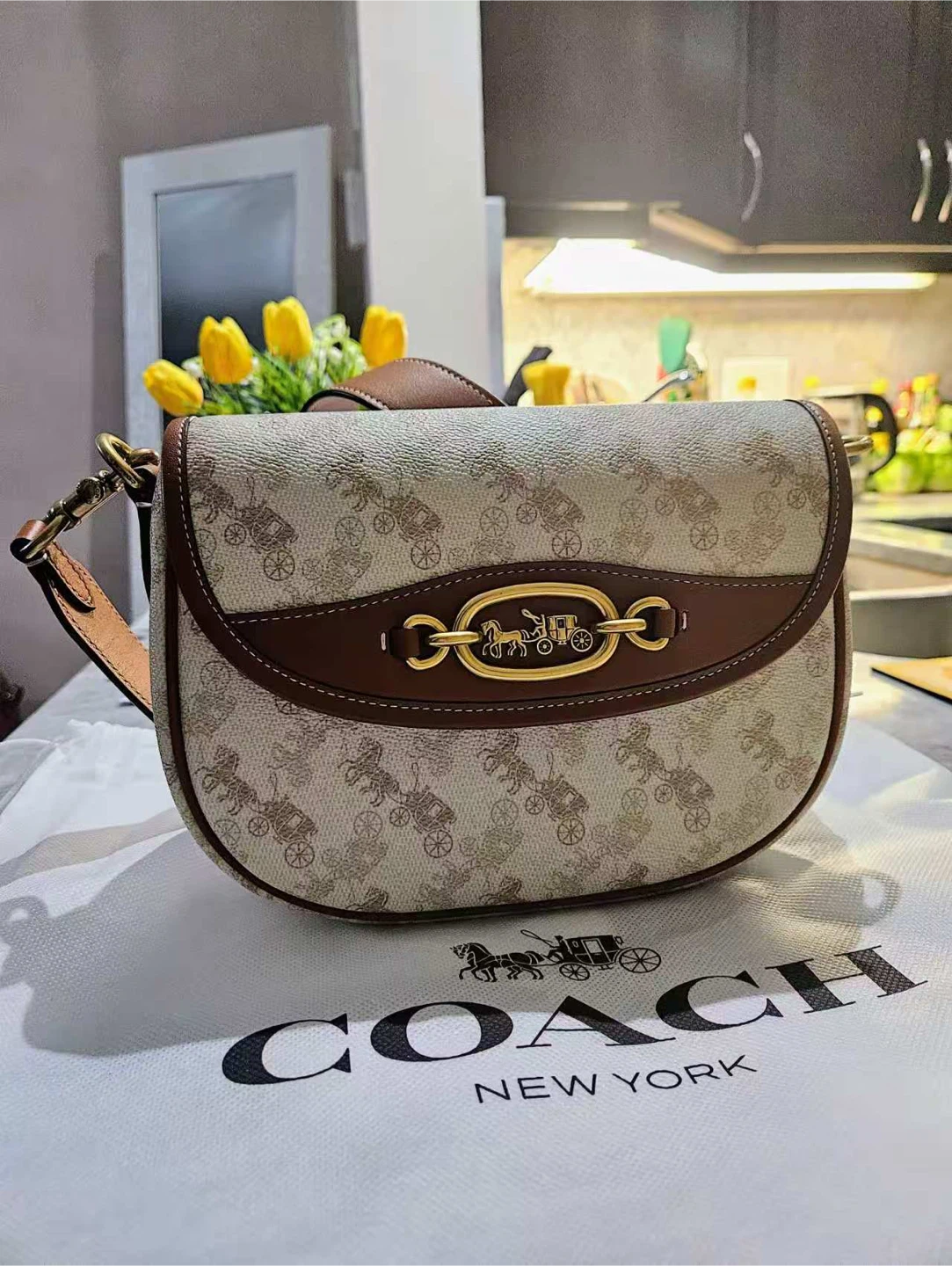 Coach Horse and Carriage Saddle Bag - NEED TO SELL EVERYTHING