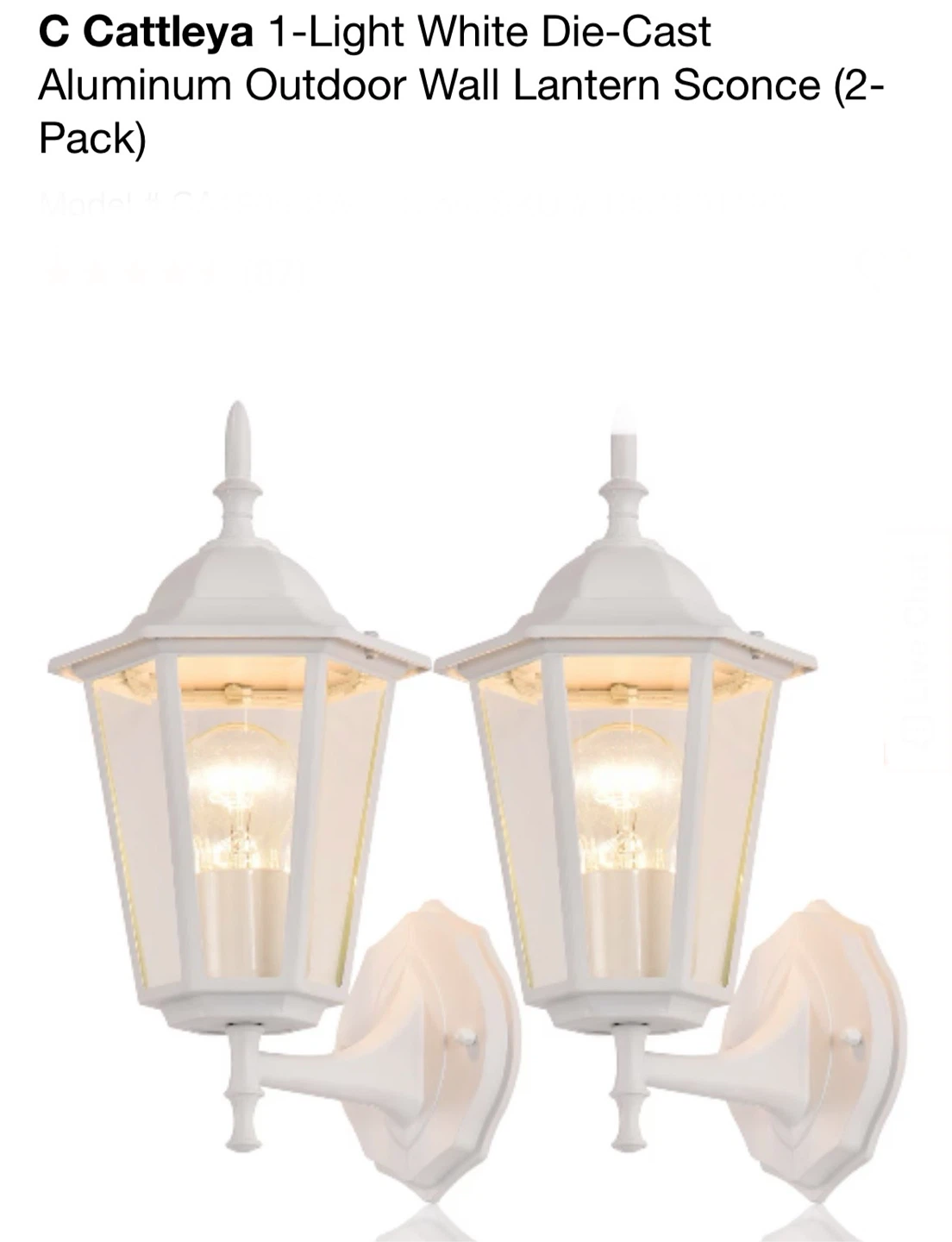 C Cattleya White Outdoor Wall Lantern Sconce 2-Pack