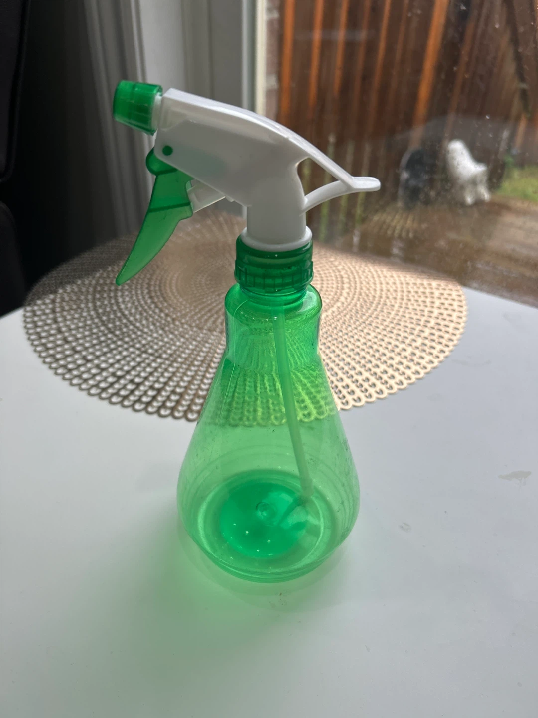 Green Spray Bottle