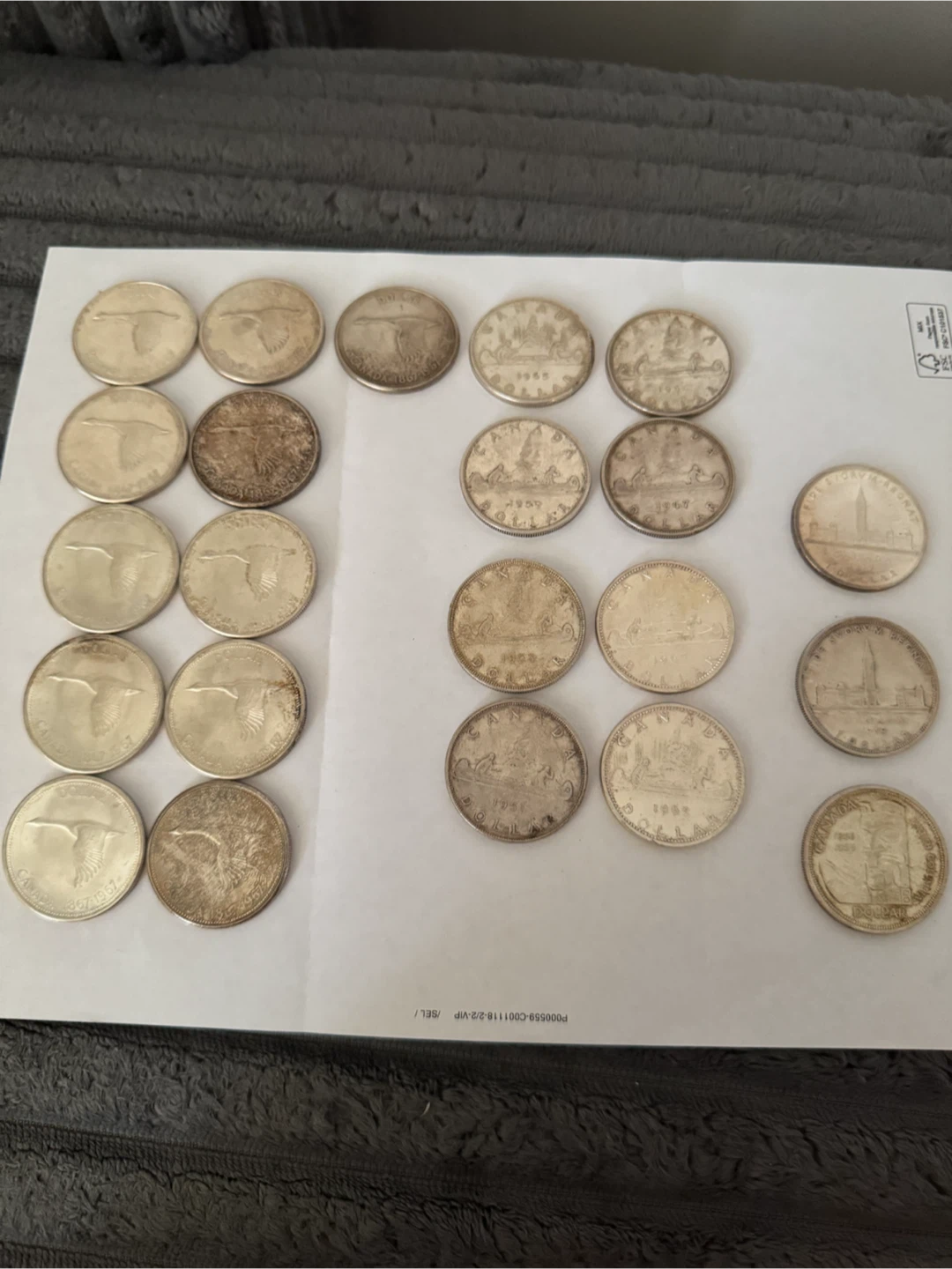 Collection of Canadian Dollar Coins