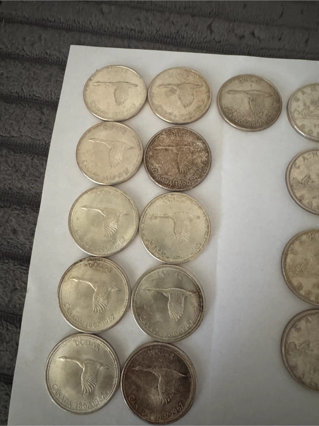 Collection of Canadian Dollar Coins - photo 2