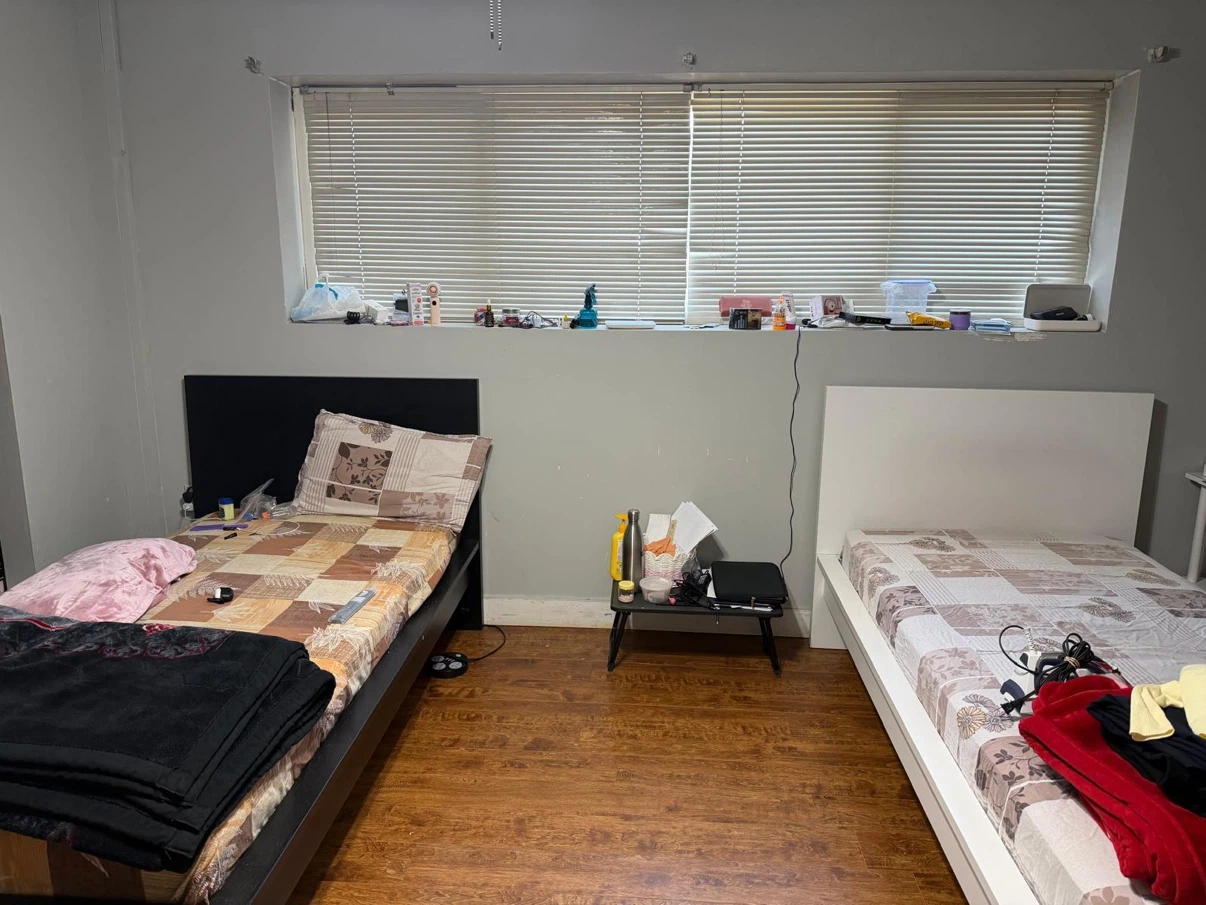 Looking for a roommate