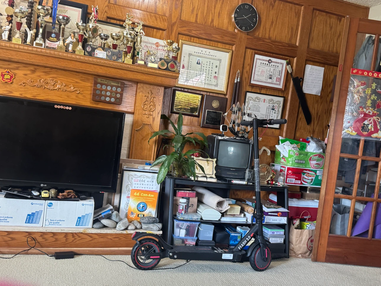 Gyrocopters Electric Scooter for Adults, Teens & Kids 8-12