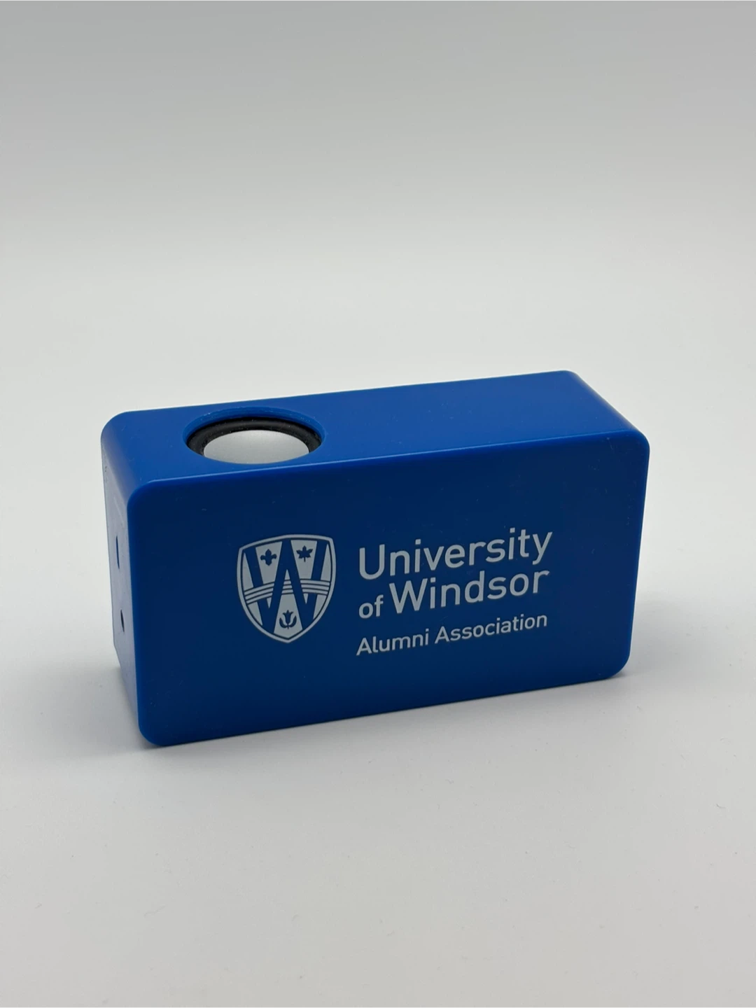 Portable induction speaker - photo 2