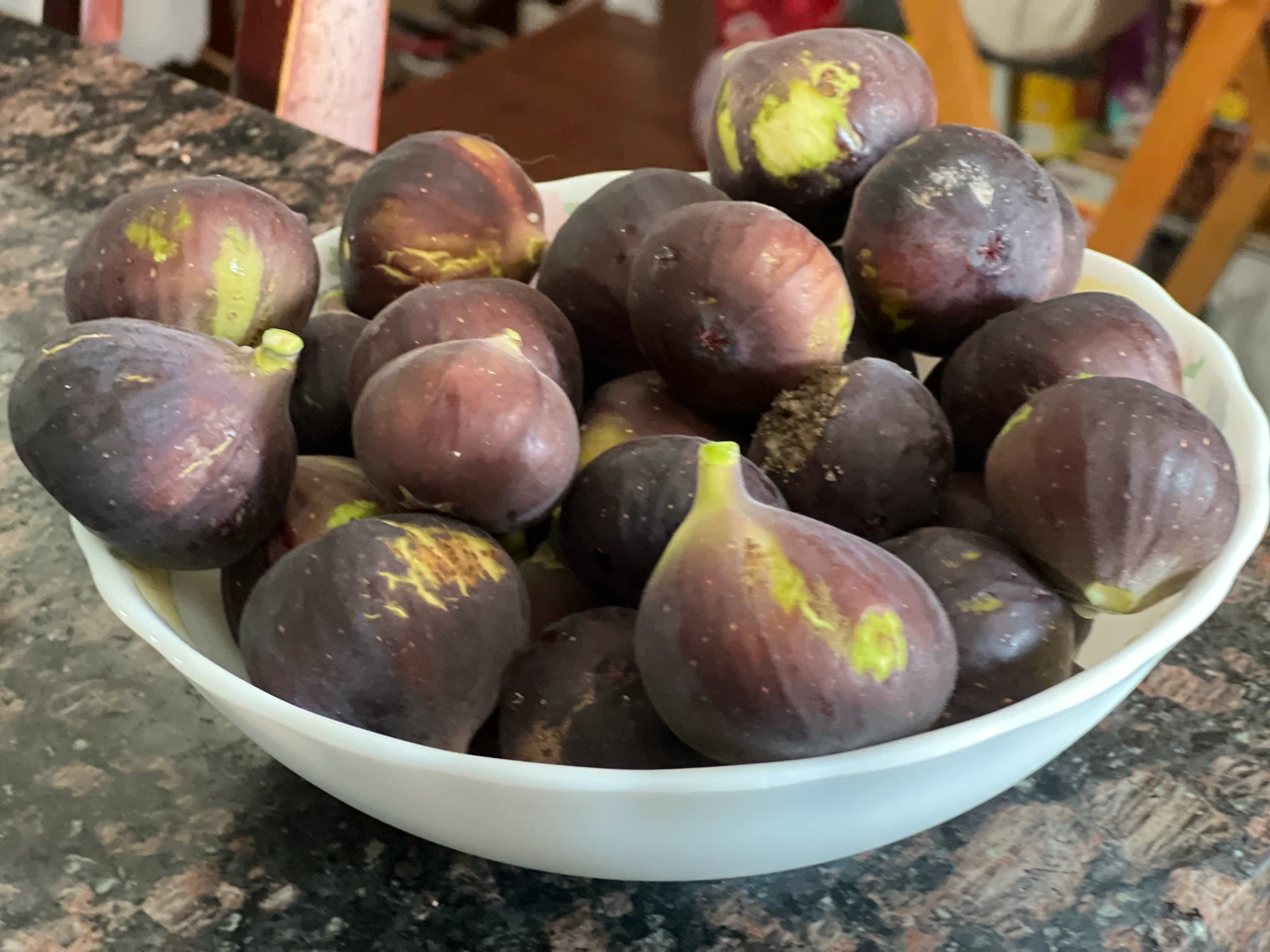 Organic Freshly Collected Figs Pick up in Mill Basin Brooklyn