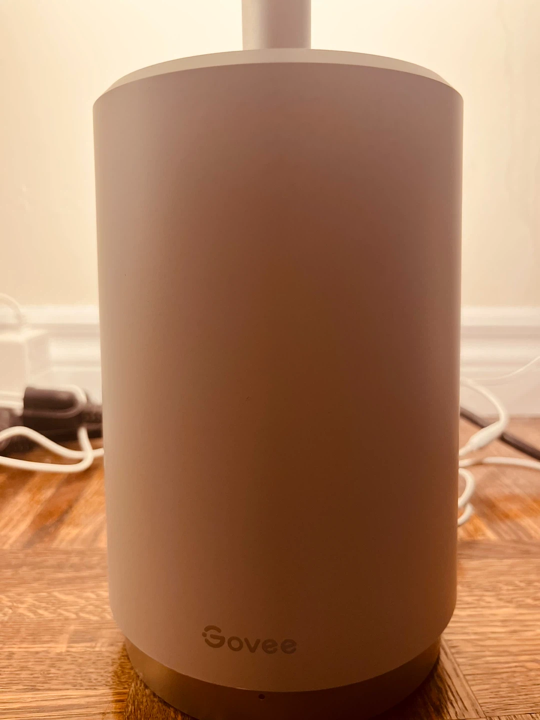 Govee Floor corner Lamp RGBIC - photo 4