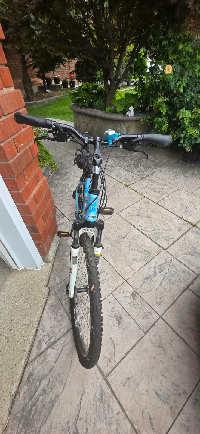 Genesis Kids Mountain Bike