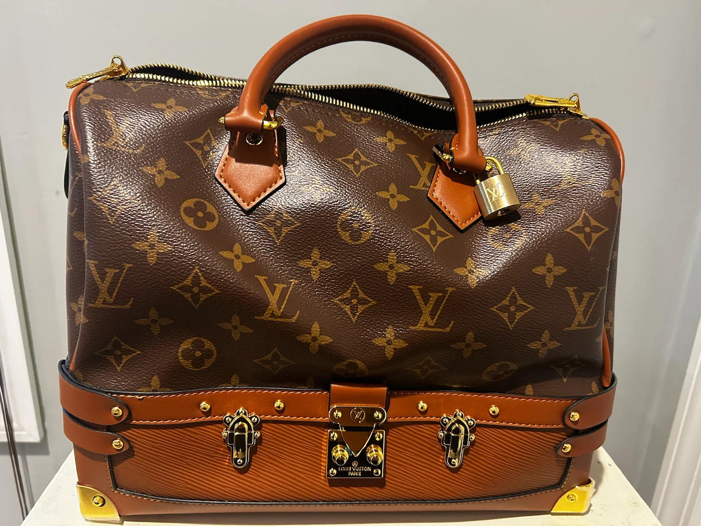 Louis Vuitton Speedy Bag