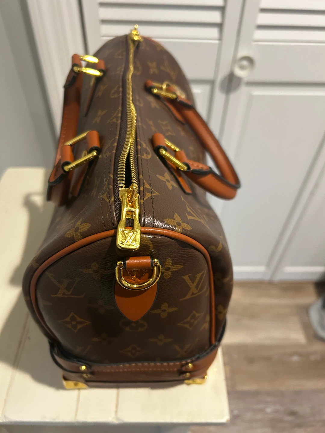 Louis Vuitton Speedy Bag - photo 4