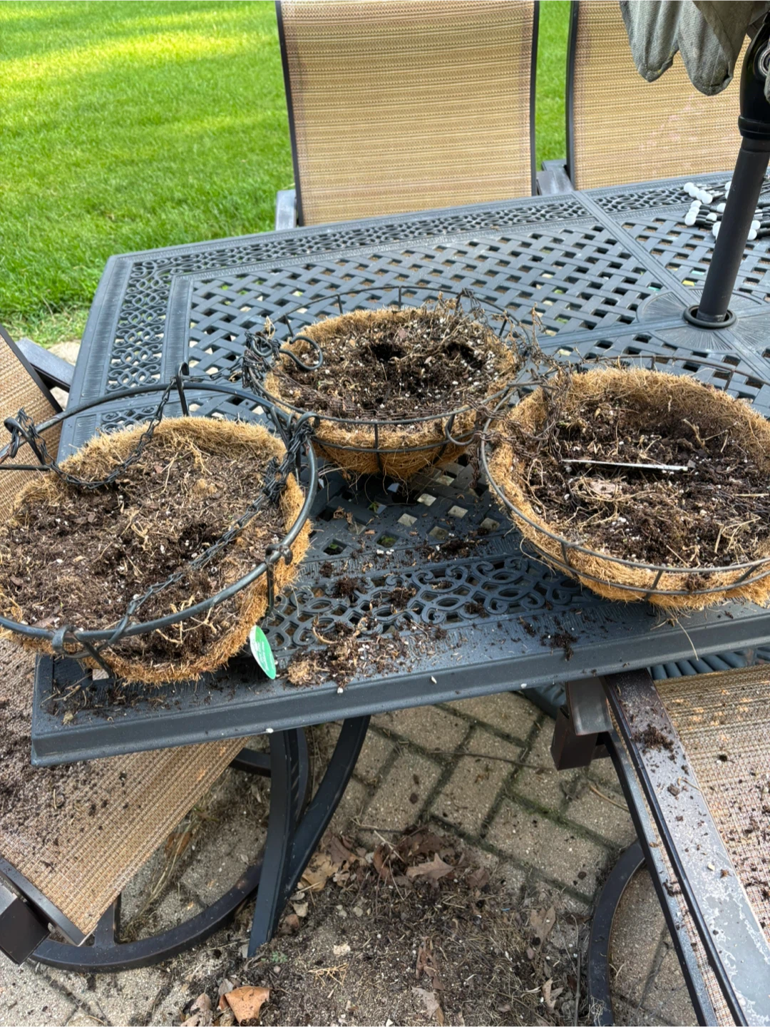 Set of 3 Garden 10 inch Hanging Baskets with Coco Liners