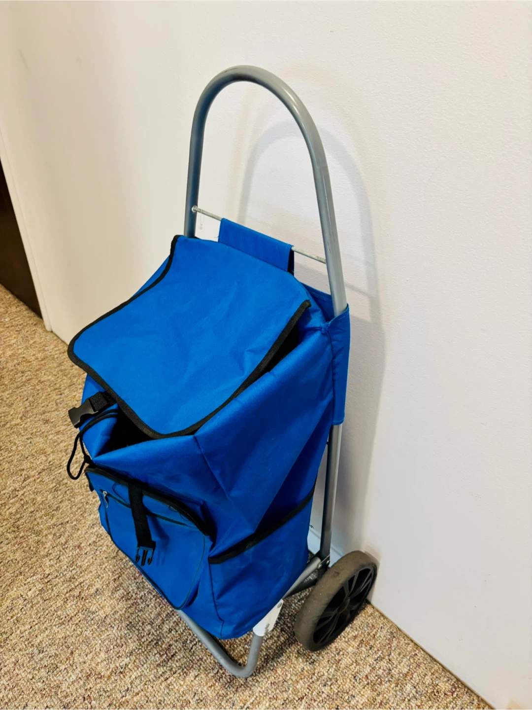 🛒 FREE — Rolling Shopping/Grocery Cart - photo 5