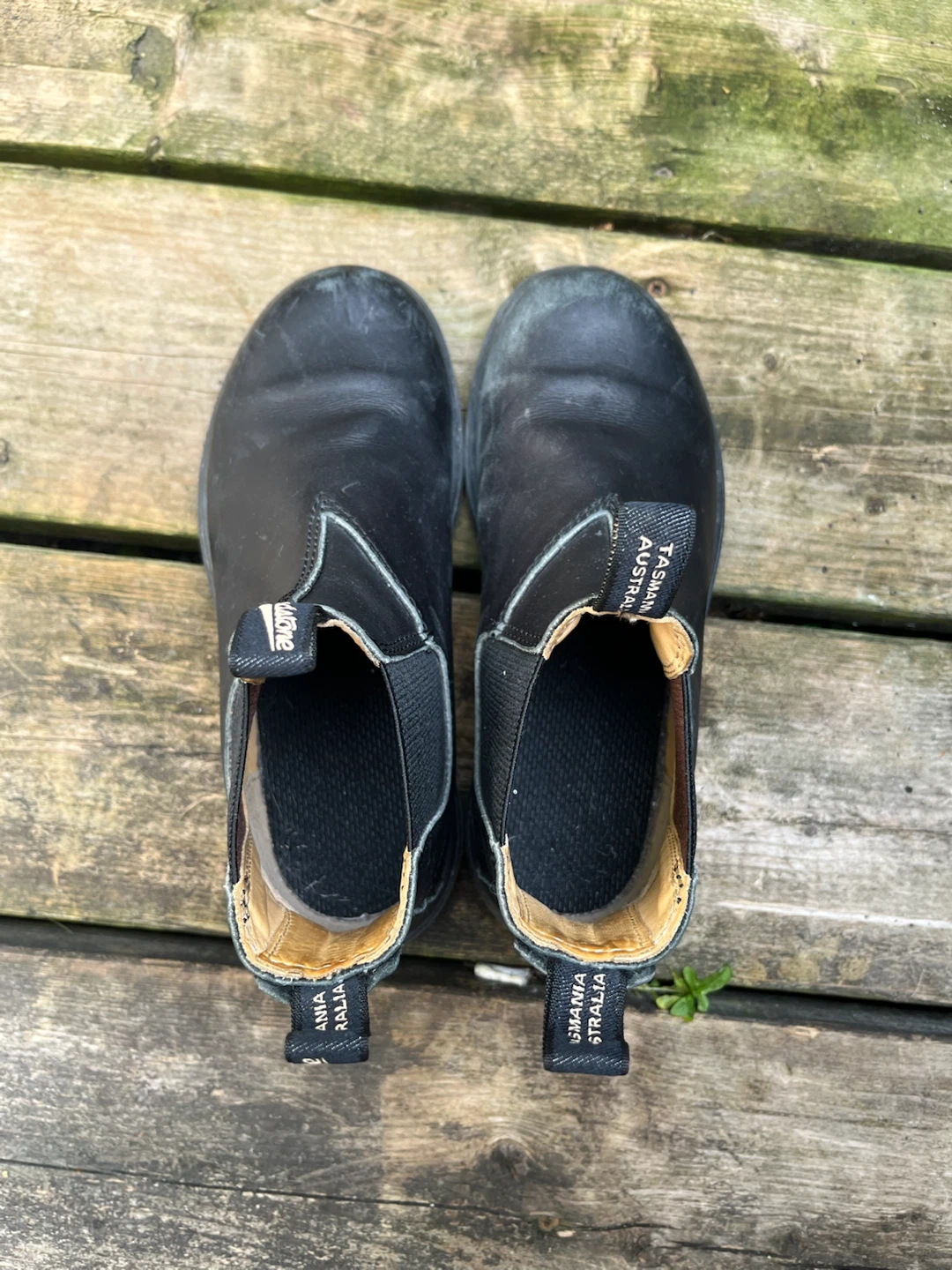Kids Blundstone Chelsea Boots - Size 2 AUS/ 3 CAD - photo 4