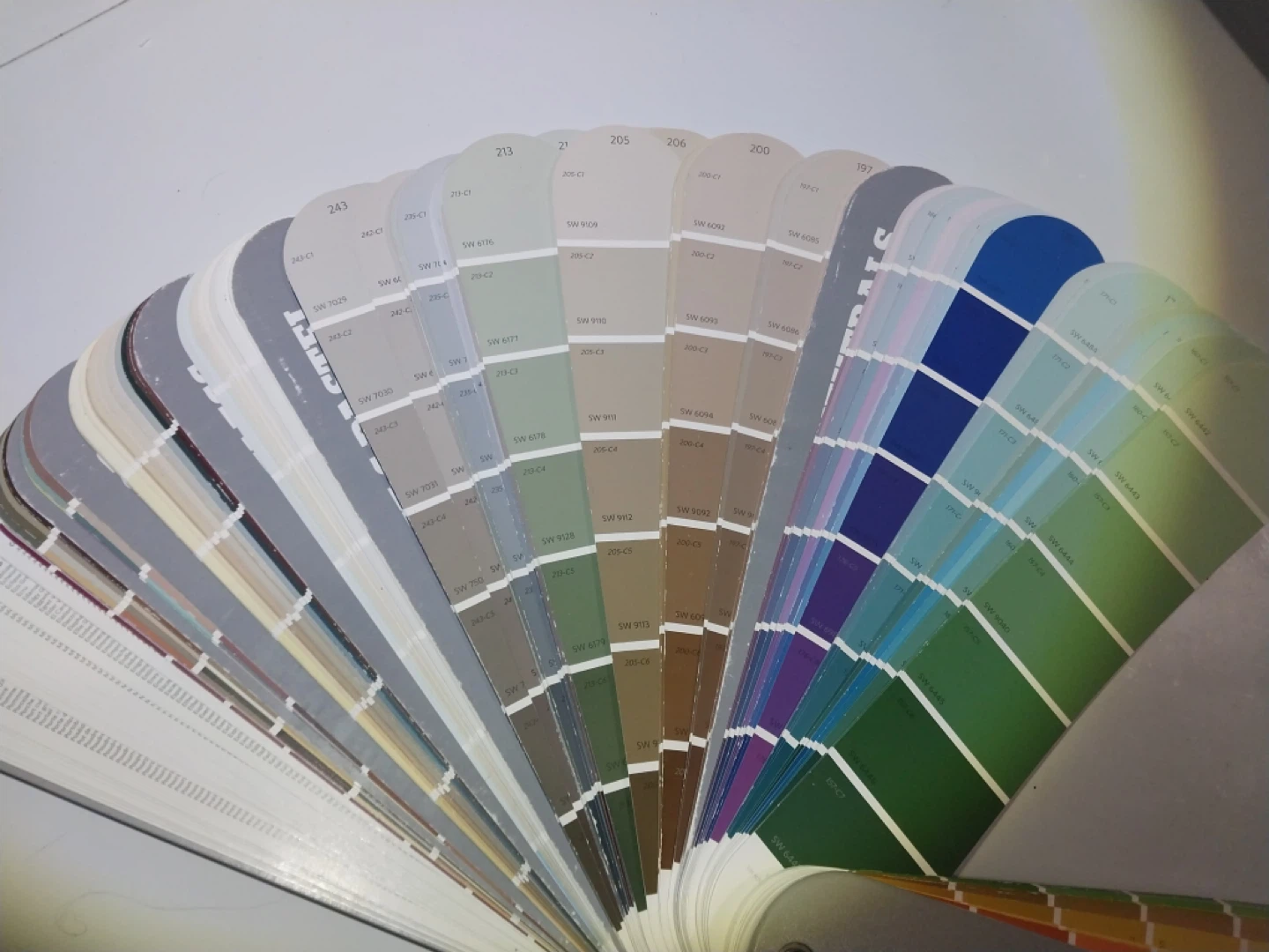 Premium Paint & Finishing Supplies - photo 5