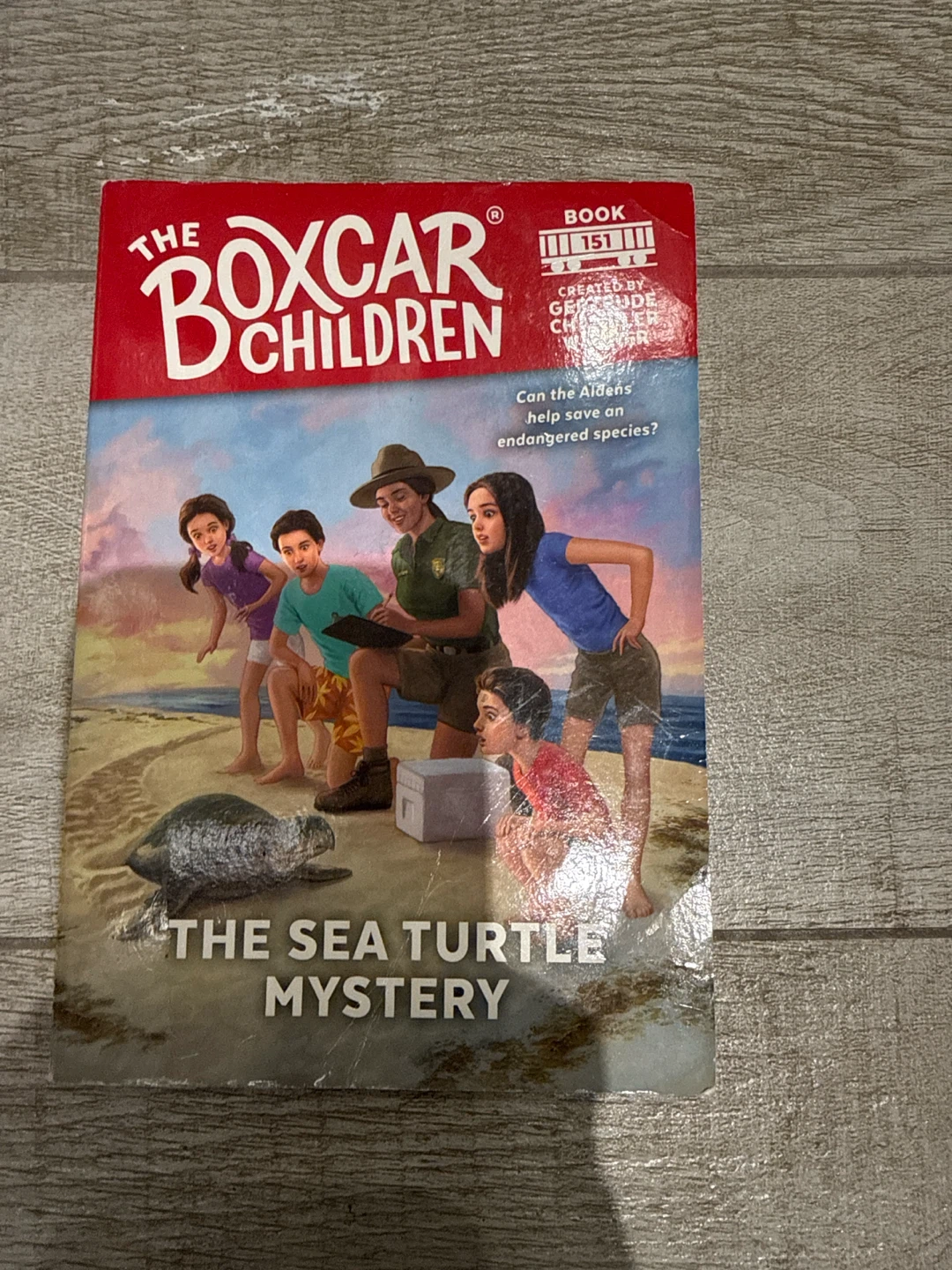 Boxcar children chapter book