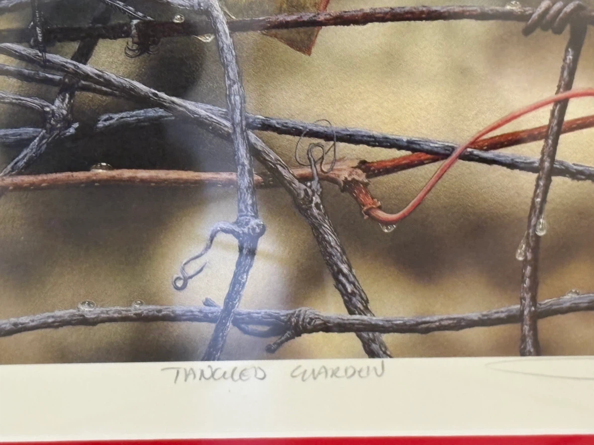 Tangled Garden Print by Terrence Andrews - photo 4
