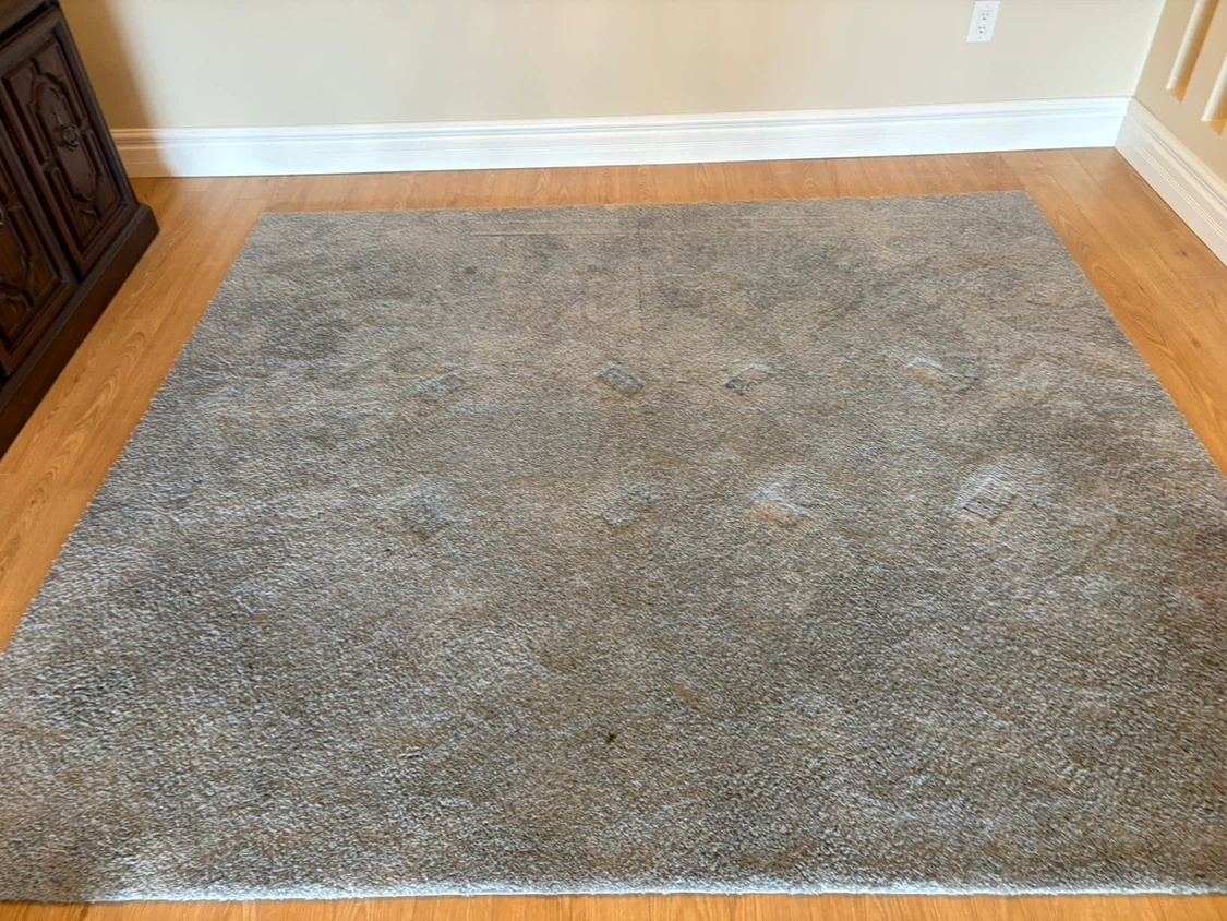 Free delivery used Grey Area Rug