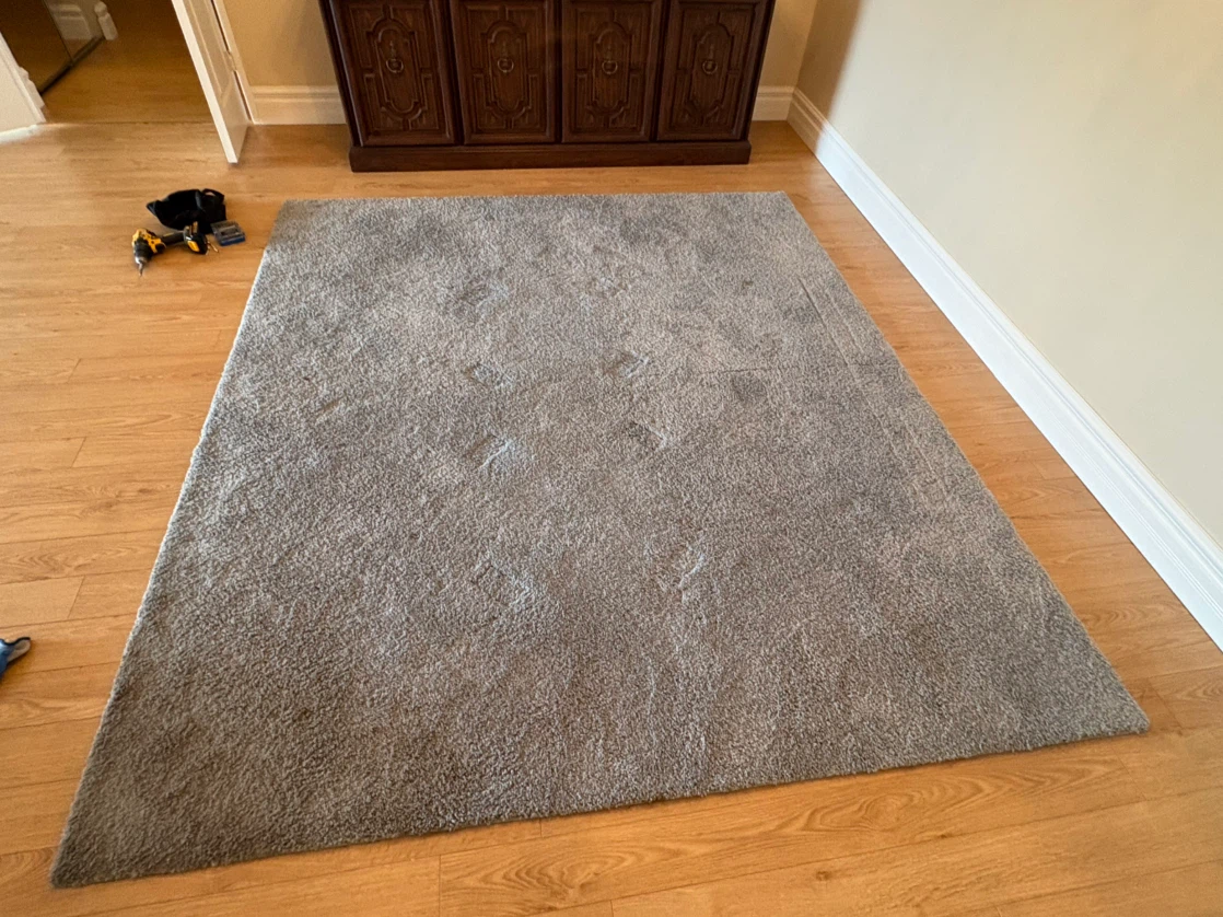Free delivery used Grey Area Rug - photo 2