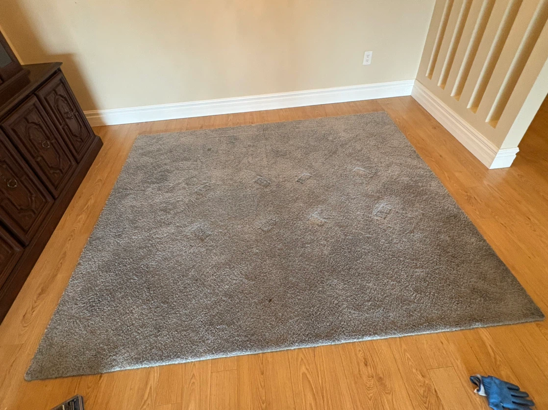 Free delivery used Grey Area Rug - photo 3