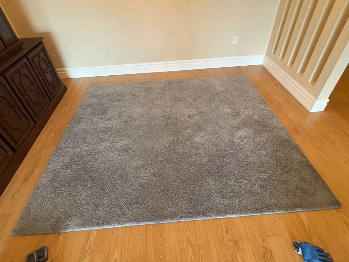 Free delivery used Grey Area Rug - photo 4