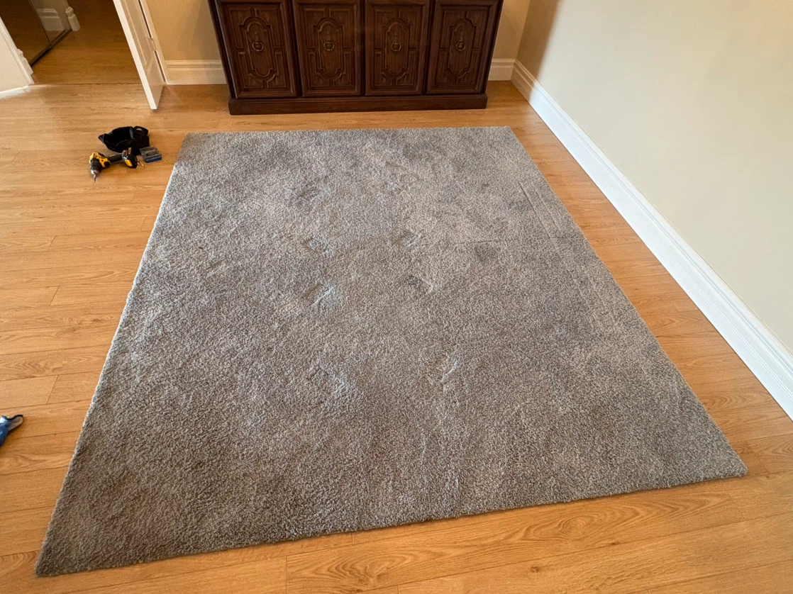 Free delivery used Grey Area Rug - photo 5