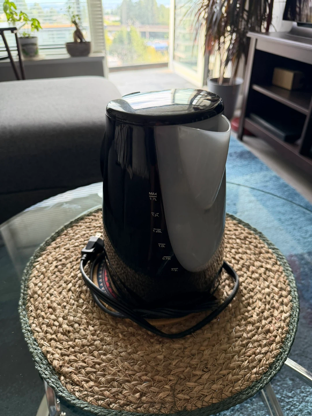 PC Black Electric Kettle