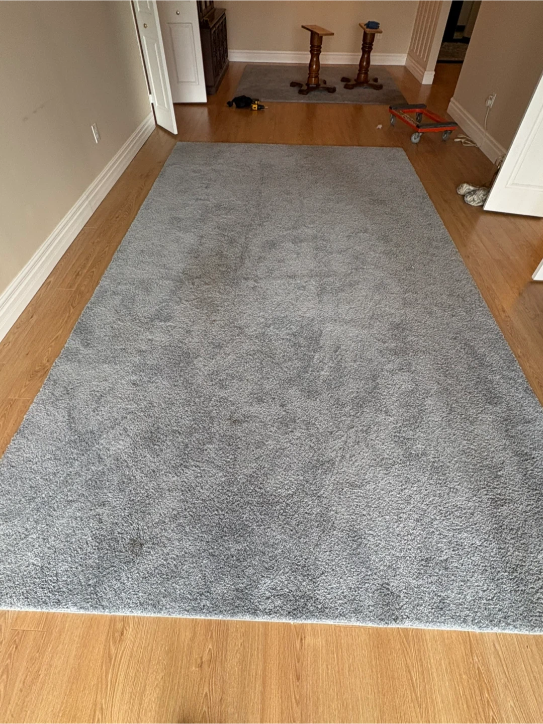 Free delivery used Grey Shag Area Rug